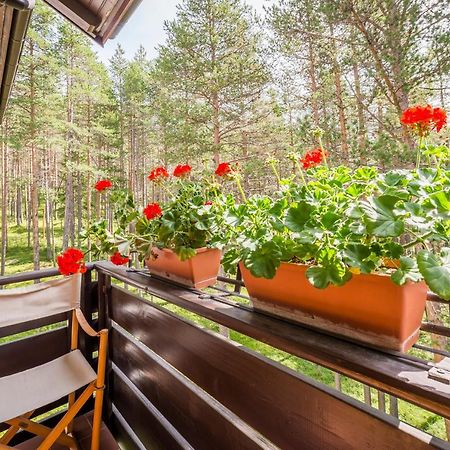 Residence Alice Nel Paese Dell' Armentarola Сан Касиано Екстериор снимка